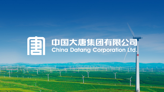 以 “绿色发展、奉献能源” 为使命，专注电力保供、清洁能源开发与能源综合服务，具备跨区域能源配置与安全稳定供应能力，为国家能源安全和双碳目标提供坚实支撑。