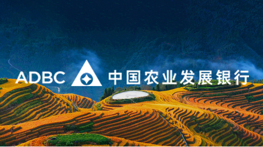 坚守 “支农为国、立行为民” 使命，作为国家农业政策性银行，聚焦粮食安全、乡村振兴与农业现代化，以精准政策性金融服务，筑牢 “三农” 发展与国家粮食安全金融屏障。